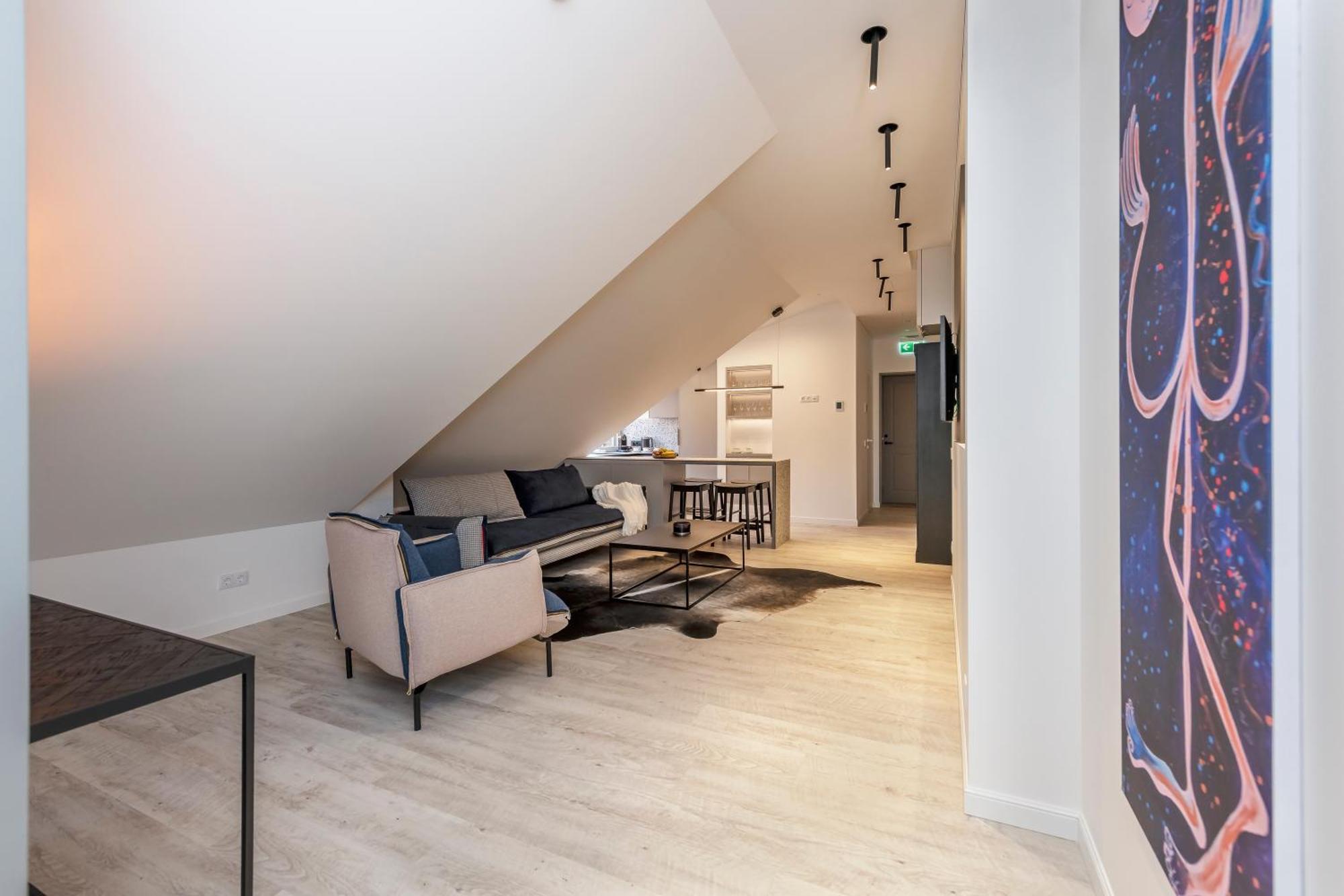 Artsy Exclusive Old Town Residence Gallery Walk ヴィリニュス 部屋 写真